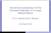 Numerical computation of the Complex Eigenpair of a Large …sanum.github.io/2016/slides/Akinola.pdf · Let A 2Rn n be a large, sparse, nonsymmetric matrix. B 2R n, Symmetric Positive