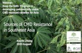 Sources of CMD Resistance in Southeast Asia · Sources of CMD Resistance in Southeast Asia . Xiaofei Zhang. 2020 August . Webinar: Keep the faith: Progress in developing commercially