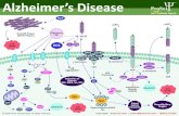 Alzheimer’s Disease - Caltag Medsystems · 2017. 7. 27. · Amygdala (Alzheimer’s Disease) Membrane Lysate XBL-10272 Corpus Callosum (Alzheimer’s Disease) Lysate XBL-10278 Frontal