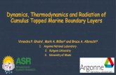 Dynamics, Thermodynamics and Radiation of Cumulus …...Dynamics, Thermodynamics and Radiation of Cumulus Topped Marine Boundary Layers . Virendra P. Ghate. 1, Mark A. Miller. 2. and