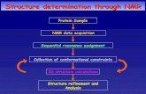 Structure determination through NMR · PDF file Structure determination through NMR Sequential resonance assignment NMR data acquisition ... NMR protein structure calculation (Minimization