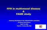 FFR in multivessel disease FAME study...FFR in multivessel disease & FAME study Coronary Physiology in the Catheterization Laboratory European Heart House April 7-9, 2011 Pim A.L.