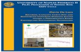 UNIVERSITY OF NAPLES FEDERICO II PH.D ...wpage.unina.it/iuniervo/papers/De_Luca_PhD_Thesis.pdfFlavia De Luca RECORDS, CAPACITY CURVE FITS AND REINFORCED CONCRETE DAMAGE STATES WITHIN