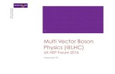 MultiVectorBosonPhysics AOH 161103 · 2016. 11. 3. · ¡ Vector Boson Scattering ¡ W/Z Wjj ¡ leptonic and semi-leptonic ¡ Tri-boson ¡ W/Z γγ : leptonic ¡ WVγ : semi-leptonic