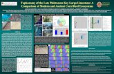 Taphonomy of the Late Pleistocene Key Largo Limestone: A … · 2020. 6. 10. · Taphonomy of the Late Pleistocene Key Largo Limestone: A Comparison of Modern and Ancient Coral Reef