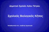 Σχολικός Βιολογικός Κήποςusers.sch.gr/adanis/Seminars/PhysActiv/SxolKipos.pdf · Σχολικός Βιολογικός Κήπος Εκπαιδευτικός