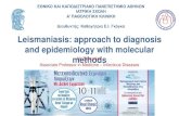 Leismaniasis: approach to diagnosis and epidemiology with 2019. 5. 15.¢  ELISA with recombinant K39