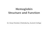 Hemoglobin Structure and Functionasutoshcollege.in/Study_Material/Hemoglobin_Structure... · 2020. 4. 1. · of Hemoglobin The three-dimensional structure of hemoglobin is best described