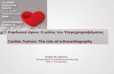 Cardiac Tumors: The role of echocardiography · Cardiac masses classification * PFE arising de-novo + PFE arising in setting of hypertrophic obstructive cardiomyopathy or following