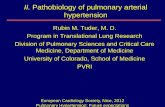 II. Pathobiology of pulmonary arterial hypertension...Pathobiology of pulmonary arterial hypertension European Cardiology Society, Nice, 2012 Pulmonary Hypertension: Future expectations