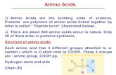 Amino Acids ... Amino Acids Amino Acids are the building units of proteins. Proteins are polymers of