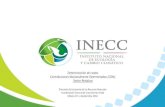 Determinación de costos Contribuciones Nacionalmente ... · Construcción y mantenimiento de Relleno Sanitario-Saneamiento, construcción, operación y mantenimiento del relleno
