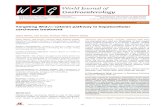 Targeting Wnt/ -catenin pathway in hepatocellular carcinoma ......Targeting Wnt/β-catenin pathway in hepatocellular carcinoma treatment Valery Vilchez, Lilia Turcios, Francesc Marti,