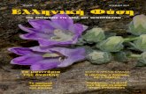 ΤΕΥΧΟΣ 4 ΑΠΡΙΛΙΟΣ 2012 Ελληνική Φύση · ΕΝΔΗΜΙΚΑ. Η Φριτιλάρια του ... είναι γεμάτες με υψηλόκορμα φυτά