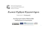 eclass.teiep.gr · Χρηματοδότηση • Το έργο υλοποιείται στο πλαίσιο του Επιχειρησιακού Προγράμματος «Εκπαίδευση