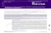 Indian Journal of Science Indian Journal of Science, 2013, 5(13), 41-48 (PECH) wit hydrophobic materials
