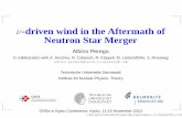 ν-driven wind in the Aftermath of Neutron Star Merger€¦ · nν (neutrino density) calculated with ray-tracing from cooling rates, emitted at neutrino surfaces r heat ∝ χ ab