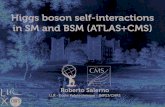 Higgs boson self-interactions in SM and BSM (ATLAS+CMS) ... Roberto Salerno (LLR) - Higgs Coupling 2015