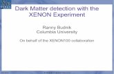 Dark Matter detection with the XENON Experiment · SSI 2012 R. Budnik, Columbia University 10 (spin-independent) WIMP Limit 2011 PRL 107, 131302 (2011) XENON100 sets the most sensitive