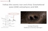 Follow the cosmic roar and chirp: Gravitaonal wave (GW) …skatelescope.ca/wp-content/uploads/2017/05/04_nissanke.pdf · Chirp mass drives inspiral waveform Inspiral ∼ Chirp driven