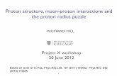 indico.fnal.gov€¦ · the proton radius puzzle - inferred from muonic H - inferred from electronic H - extraction from e p, e n scattering, ππNN data (this talk) - previous extractions