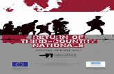 RETURN OF THIRD-COUNTRY NATIONALS · PDF file borders and the Evros region, • the various problems arising from the implementation of special procedures of asylum on the borders.