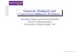 Algebraic Multigrid and Convection-Diffusion Problems · Algebraic Multigrid (AMG): An Introduction With Applications Boyle & Silvester 2006 – p. 7/29. ... Iteration counts —