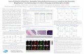 Use of Ultivue InSituPlex Multiplex Immunofluorescence to … · 1Global Pathology, Drug Safety R&D, Pfizer, Inc., 2Ultivue Inc., 763D Concord Ave., Cambridge, MA, 02138 *Corresponding