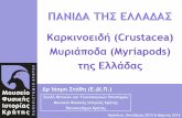 Καρκινοειδή (Crustacea) - Fauna of Greece · PDF file Καρκινοειδή (Crustacea) Μυριάποδα (Myriapods) της Ελλάδας Δρ Iάσμη Στάθη (Ε.ΔΙ.Π.)