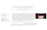 -Bidens R : A novel computer program for studying ...vixra.org/pdf/1612.0241v1.pdf · -Bidens R: A novel computer program for studying bacterial colony features Enrique Marcet 1,