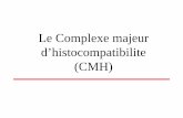 Le Complexe majeur d’histocompatibilite (CMH) · • complexe majeur d’histocompatibilité • antigènes mineurs d’histocompatibilité – 5% des allogreffes rénales HLA identiques