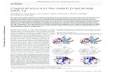 Crystal structure of the class D -lactamase OXA-10mpaetzel/publications/Paetzel_OXA-10_NSB_2000.pdf · The structure can be Crystal structure of the class D β-lactamase OXA-10 Mark