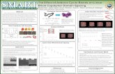 The Effect of Additive Cyclic Blends on Linear Block ...smartreu.tulane.edu/pdf/Rick-Maxwell-SMART-Poster-2018.pdf · One interesting way to reduce domain spacing is to use cyclic