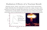 Radiation Effects of a Nuclear Bombnsl/Lectures/phys20061/pdf/18.pdf · damage radioactive radiation can do to the human body. They depend on the kind and nature of the incident radiation