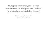 Nudging to reanalyses: a tool to evaluate model process ...€¦ · Nudging to reanalyses: a tool to evaluate model process realism (and study predictability issues) Brian Mapes,