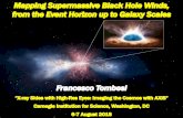 Mapping Supermassive Black Hole Winds, from the Event Horizon up to Galaxy …axis.astro.umd.edu/images/Tombesi.pdf · 2018. 8. 8. · Mapping Supermassive Black Hole Winds, from
