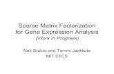 Sparse Matrix Factorization for Gene Expression Analysisnati/Publications/nipsSMFslides.pdfSparse Matrix Factorization (m>1, but small) • Model limited interactions • Recovery
