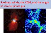 The Impact of Starbursts on the CGM · What happens when a wind flows into the CGM? Test using QSO sightlines through the CGM of starbursts using COS COS-Burst: Heckman, Borthakur,
