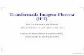 Transformada Imagem-Floresta (IFT)pmiranda/mac6903_2s12/aulas/aula3.pdf · Transformada Imagem-Floresta A transformada imagem-ﬂoresta (IFT -Image Foresting Transform) reduz problemas