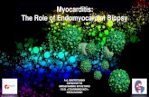 Myocarditis: The Role of Endomyocardial Biopsystatic.livemedia.gr/kebe/documents/al18112_us147_2016040216255… · Endomyocardial biopsy remains the gold standard for in vivo diagnosis