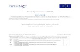BOUNCE Deliverable 1 1€¦ · Deliverable D1.1: BOUNCE Value Analysis Actual submission date: 31st May 2018 Start date of Project: 01 November 2017 Duration: 48 months Responsible