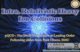 Intro. Relativistic Heavy Ion Collisionsnuclear.ucdavis.edu/~calderon/Teaching/Phy224C/slides/Phy224C-In… · Manuel Calderón de la Barca Sánchez Intro. Relativistic Heavy Ion
