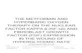 HYPERGLYCEMIC RATS IN THE WOUND OF FACTOR (FGF) …repository.wima.ac.id/4198/18/9-The_Metformin_and_Hyperbaric_1_… · menimbulkan hipoglikemia dan meningkatkan produksi eNOS. Tujuan