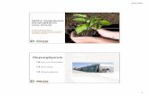 presentation MAVROPOULOS biowaste- mavropo · PDF file 4/6/2020 3 Οι περιβαλλοντικές επιπτώσεις • Πάνω από 1.600.000 κυβικά μέτρα το