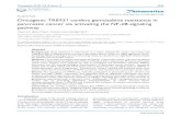 Oncogenic TRIM31 confers gemcitabine resistance in ... · PDF file pathway, which is constitutively activated in various cancers, not only orchestrates immune and inflammatory responses,