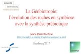 La Géobiotropie: l’évolution des roches en symbiose avec la …chemphys.u-strasbg.fr/mpb/teach/originevie/Geobiotropie/... · 2018. 6. 5. · Bassez MP (1999) La structure de