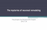 The mysteries of neuronal · PDF file • Awasaki, T., et al. (2011). "Glia instruct developmental neuronal remodeling through TGF-beta signaling." Nat Neurosci 14(7): 821-823. •