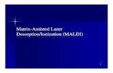 MatrixMatrix--Assisted Laser Assisted Laser Desorption ...€¦ · MALDI MatrixMatrix--Assisted Laser Desorption/Ionization: Assisted Laser Desorption/Ionization: 1.1. Soft ionization
