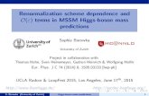 Renormalization scheme dependence and O terms in MSSM ... p2 6= 0 result: SB, Hahn, Heinemeyer, Heinrich,