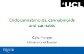 Endocannabinoids, cannabinoids and cannabisswf-frontend.azurewebsites.net/.../03/Celia-Morgan-SDF_Mar2016_final.pdf · > 80 different cannabinoids Δ 9-tetrahydrocannabinol (THC)
